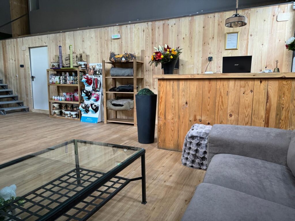 Residencia Canina 3