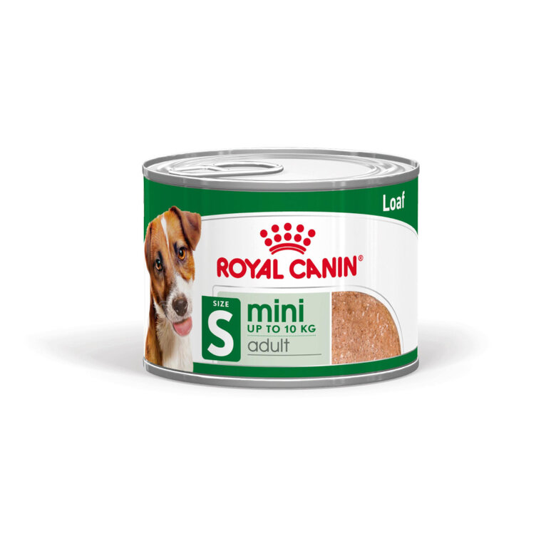 comida_humeda_perros_royal_canin_mini_adult_pate_ROY1097001